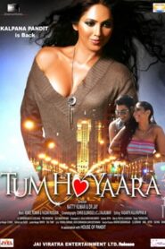 Tum Ho Yaara (2011) Hindi