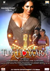 Tum Ho Yaara (2011) Hindi