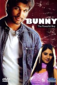 Bunny (2005) Hindi Dubbed Movie Watch HD Print Download