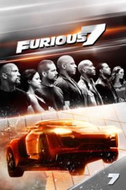 Furious 7 (2015) Hindi Dubbed