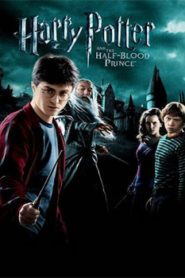 Harry Potter and the Half-Blood Prince (2009) Hindi Dubbed