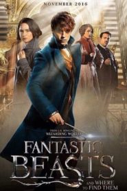 Fantastic Beasts and Where to Find Them (2016) Hindi Dubbed