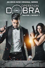 Operation Cobra (2019) Hindi