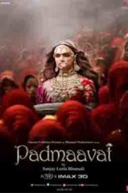 Padmaavat (2018) Hindi