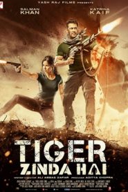 Tiger Zinda Hai (2017) Hindi