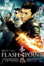 Flash Point (2007) Hindi Dubbed