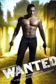 Wanted (2009) Hindi
