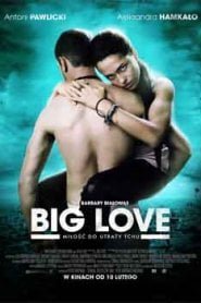 Big Love (2012)