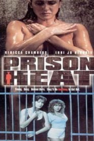 Prison Heat (1993)