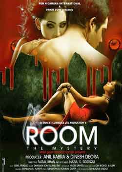 Room The Mystery (2015) Hindi