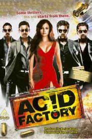 Acid Factory (2009) Hindi