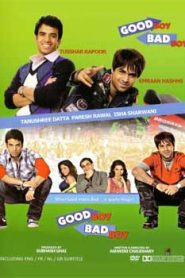 Good Boy Bad Boy (2007) Hindi
