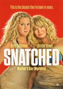 Snatched (2017) Hindi Dubbed