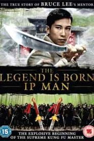 The Legend Is Born Ip Man (2010) Hindi Dubbed