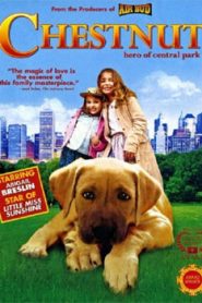 Chestnut Hero of Central Park (2004) Hindi Dubbed