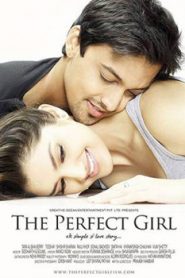 The Perfect Girl (2015) Hindi