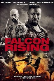 Falcon Rising (2014) Hindi Dubbed