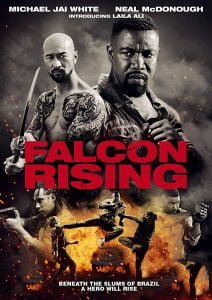 Falcon Rising (2014) Hindi Dubbed