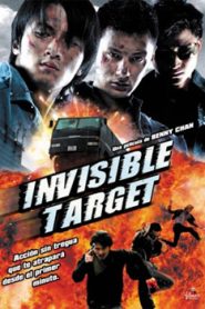 Invisible Target (2007) Hindi Dubbed