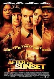 After the Sunset (2004) Hindi Dubbed