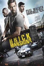 Brick Mansions (2014) Hindi Dubbed