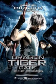 Dragon Tiger Gate (2006) Hindi Dubbed