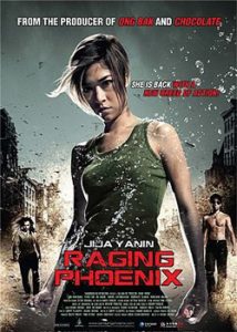 Raging Phoenix (2009) Hindi Dubbed