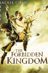 The Forbidden Kingdom (2008) Hindi Dubbed