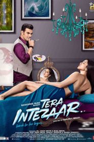 Tera Intezaar (2017) Hindi