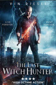 The Last Witch Hunter (2015) Hindi Dubbed