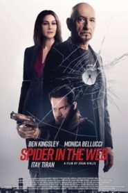 Spider In The Web (2019) Hindi Dubbed