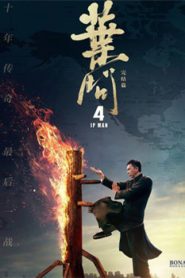 Ip Man 4 The Finale (2019) Hindi Dubbed