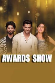 Star Screen Awards Main Event (2019) Hindi Award Show