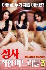 An Affair Kind Daughters In Law 3 (2020) Korean