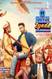 Shubh Mangal Zyada Saavdhan (2020) Hindi
