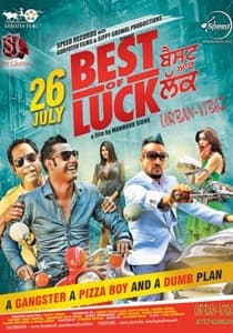 Best of Luck (2013) Punjabi