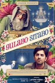 Gulabo Sitabo (2020) Hindi