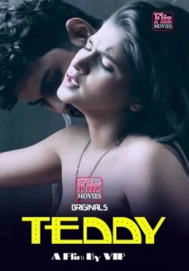 Teddy Flizmovies (2020) Hindi Web Series