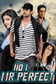 Mr Perfect (2011) South Hindi Dubbed