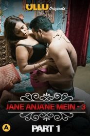 Charmsukh (Jane Anjane Mein 3) Part 1 2021