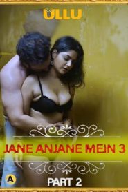 CharmSukh (Anjane Mein 3) Part 2 2021 Hindi Ullu