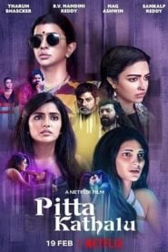 Pitta Kathalu (2021) Hindi Season 1