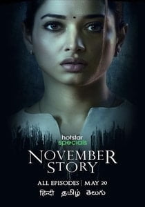 November Story (2021) Hindi DSNP Original