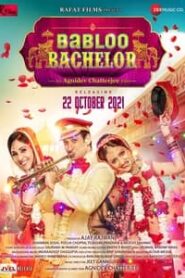 Babloo Bachelor 2021 Hindi