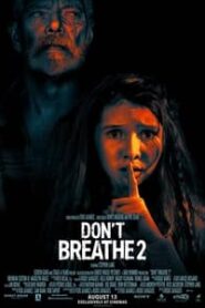 Dont Breathe 2 2021 Hindi Dubbed