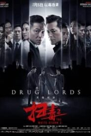 The White Storm 2 Drug Lords 2019 Hindi Dubbed