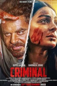 The Criminal (2022) Punjabi