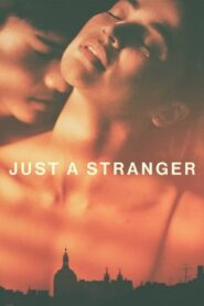 Just a Stranger (2019) Hindi Dubbed