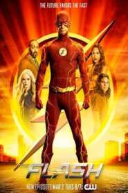 The Flash (2014) Hindi Dubbed Season 1 Complete
