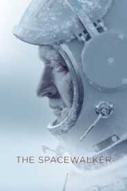 The Spacewalker (2017) Hindi Dubbed
